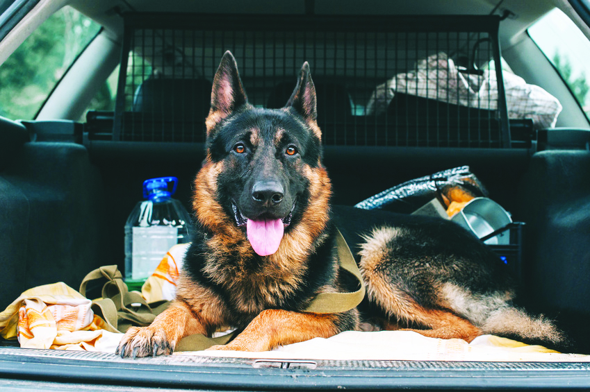 Sur la route des vacances